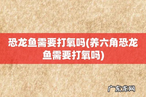 养六角恐龙鱼需要打氧吗 恐龙鱼需要打氧吗