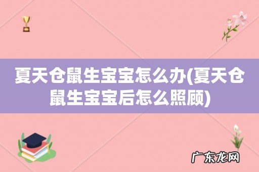 夏天仓鼠生宝宝后怎么照顾 夏天仓鼠生宝宝怎么办