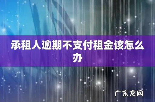 承租人逾期不支付租金该怎么办