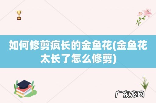 金鱼花太长了怎么修剪 如何修剪疯长的金鱼花