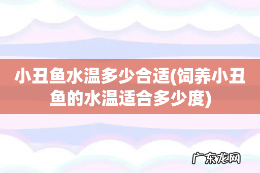 饲养小丑鱼的水温适合多少度 小丑鱼水温多少合适