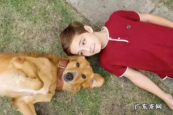 贯穿缝合法 风水四生贯穿法