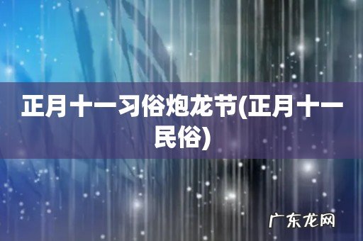 正月十一民俗 正月十一习俗炮龙节