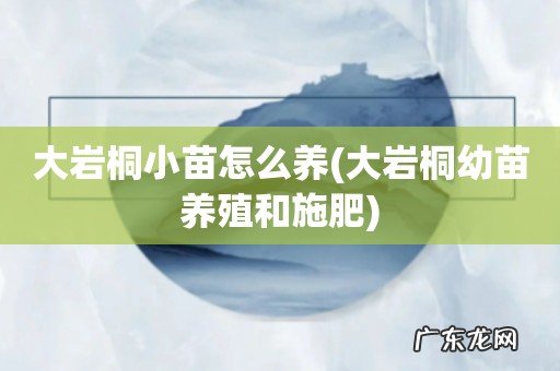 大岩桐幼苗养殖和施肥 大岩桐小苗怎么养