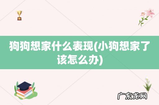 小狗想家了该怎么办 狗狗想家什么表现