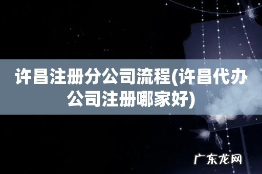 许昌代办公司注册哪家好 许昌注册分公司流程