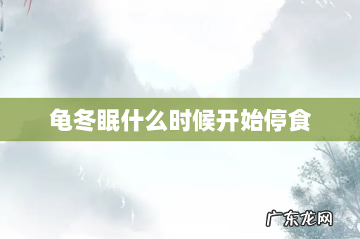 龟冬眠什么时候开始停食