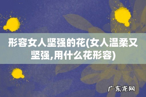 女人温柔又坚强,用什么花形容 形容女人坚强的花