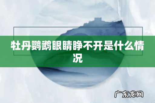 牡丹鹦鹉眼睛睁不开是什么情况