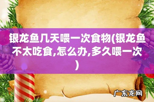 银龙鱼不太吃食,怎么办,多久喂一次 银龙鱼几天喂一次食物
