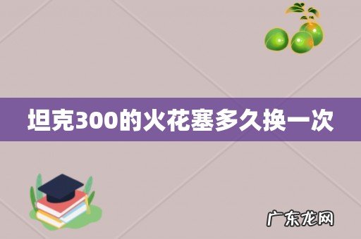 坦克300的火花塞多久换一次