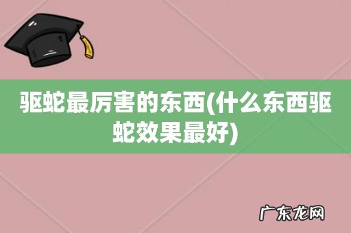 什么东西驱蛇效果最好 驱蛇最厉害的东西