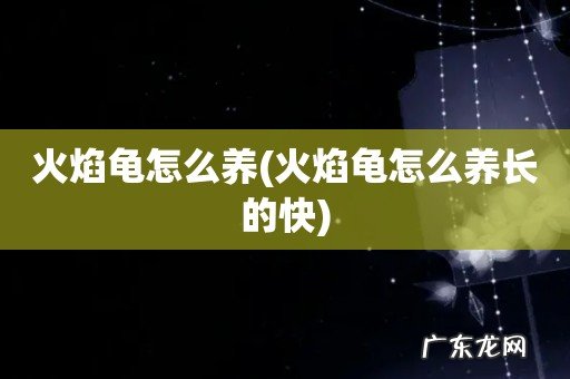 火焰龟怎么养长的快 火焰龟怎么养