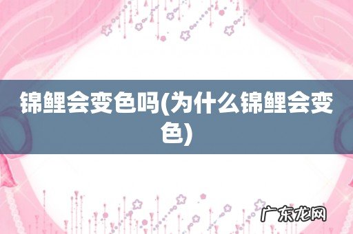 为什么锦鲤会变色 锦鲤会变色吗