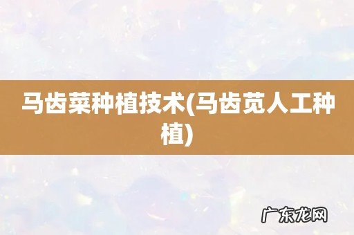 马齿苋人工种植 马齿菜种植技术