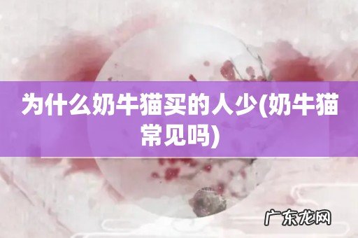 奶牛猫常见吗 为什么奶牛猫买的人少