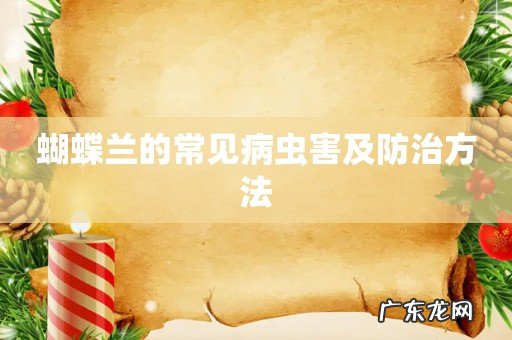 蝴蝶兰的常见病虫害及防治方法