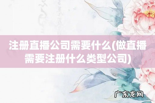 做直播需要注册什么类型公司 注册直播公司需要什么