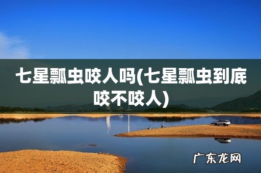 七星瓢虫到底咬不咬人 七星瓢虫咬人吗