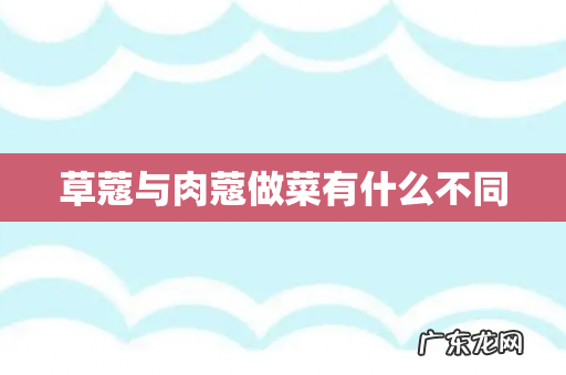 草蔻与肉蔻做菜有什么不同
