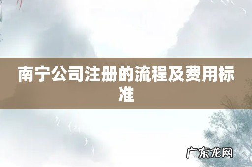 南宁公司注册的流程及费用标准