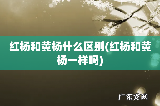 红杨和黄杨一样吗 红杨和黄杨什么区别
