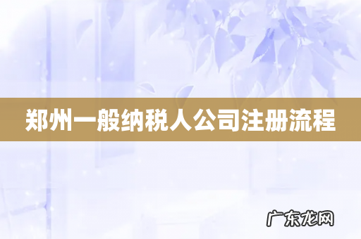 郑州一般纳税人公司注册流程