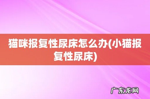 小猫报复性尿床 猫咪报复性尿床怎么办