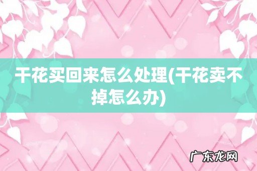 干花卖不掉怎么办 干花买回来怎么处理