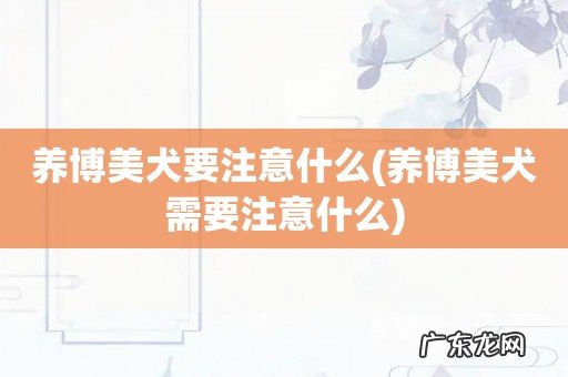 养博美犬需要注意什么 养博美犬要注意什么