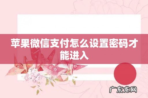 苹果微信支付怎么设置密码才能进入