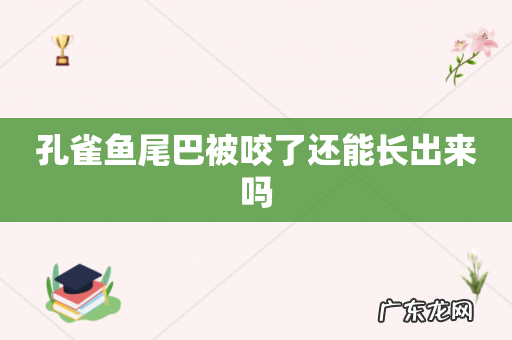 孔雀鱼尾巴被咬了还能长出来吗