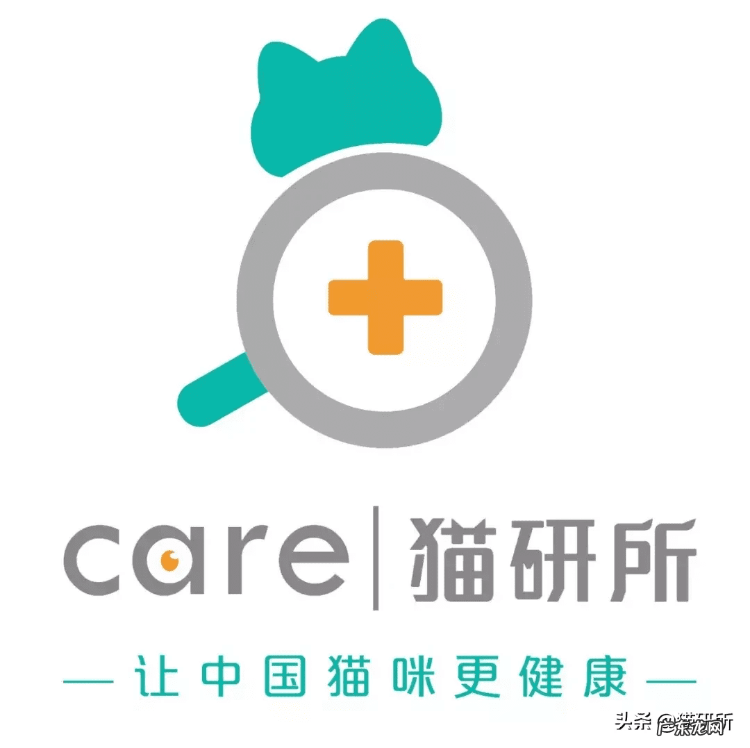 患弓形虫病的症状 弓形虫病的症状图片