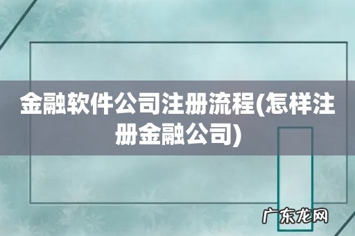 怎样注册金融公司 金融软件公司注册流程