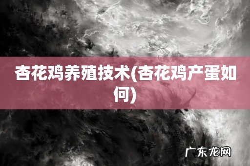 杏花鸡产蛋如何 杏花鸡养殖技术