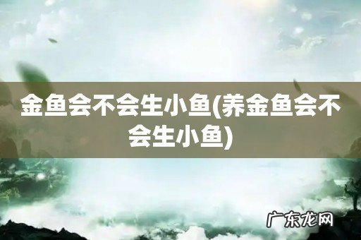 养金鱼会不会生小鱼 金鱼会不会生小鱼