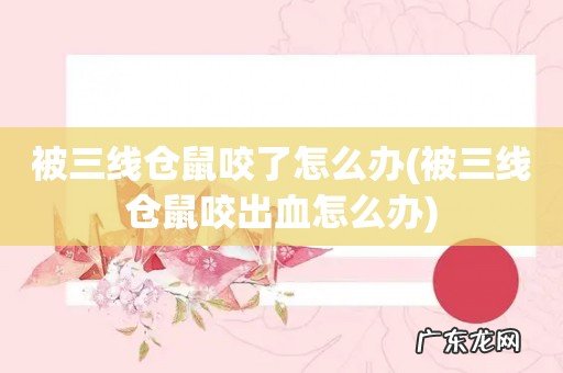 被三线仓鼠咬出血怎么办 被三线仓鼠咬了怎么办