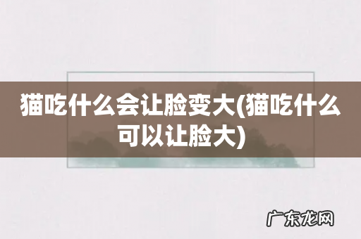 猫吃什么可以让脸大 猫吃什么会让脸变大