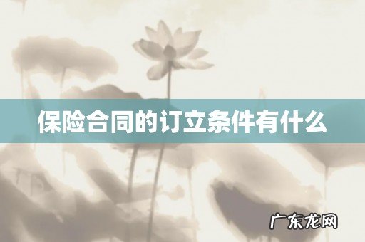 保险合同的订立条件有什么