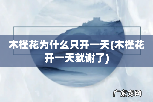 木槿花开一天就谢了 木槿花为什么只开一天