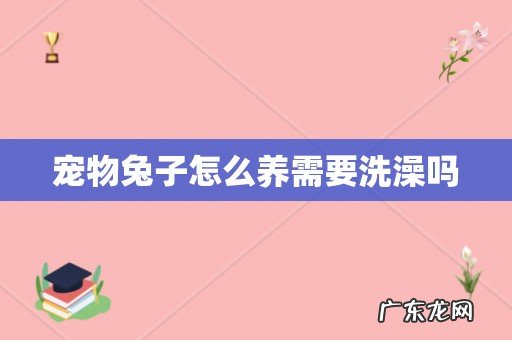 宠物兔子怎么养需要洗澡吗