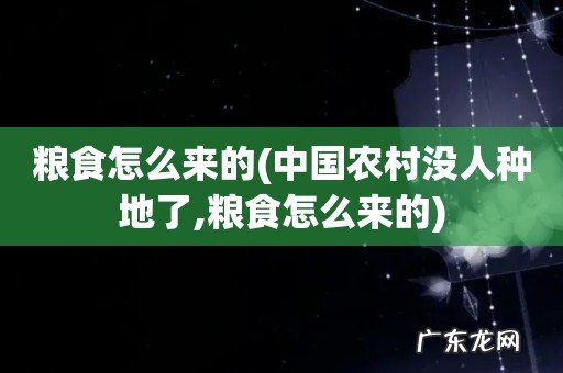 中国农村没人种地了,粮食怎么来的 粮食怎么来的