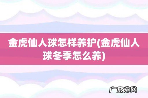 金虎仙人球冬季怎么养 金虎仙人球怎样养护