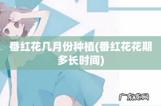 番红花花期多长时间 番红花几月份种植