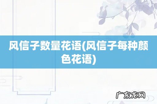风信子每种颜色花语 风信子数量花语