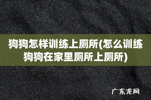 怎么训练狗狗在家里厕所上厕所 狗狗怎样训练上厕所
