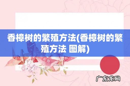 香樟树的繁殖方法 图解 香樟树的繁殖方法