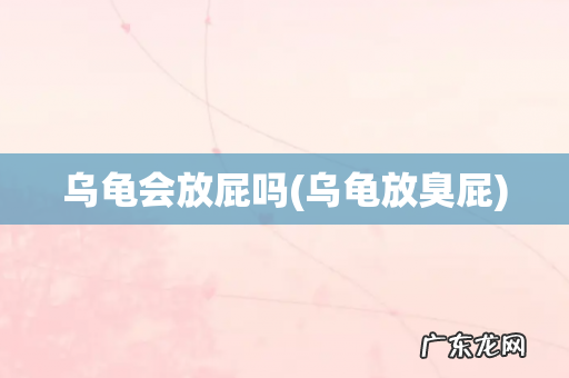 乌龟放臭屁 乌龟会放屁吗