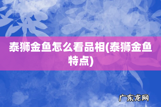 泰狮金鱼特点 泰狮金鱼怎么看品相