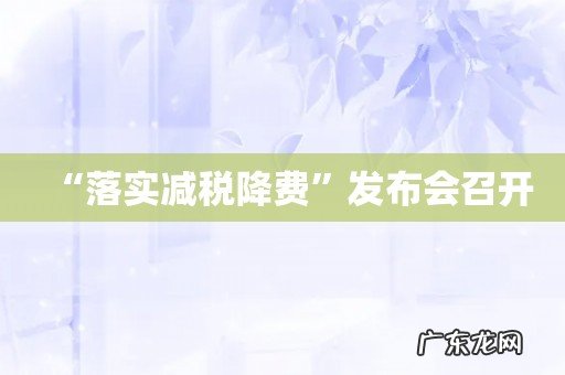 “落实减税降费”发布会召开